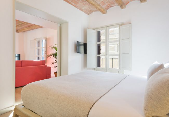 Appartamento a Barcelona - OLA LIVING BISBE SQUARE VIEW 3 Appartamento a Barcelona - OLA LIVING BISBE SQUARE VIEW 3