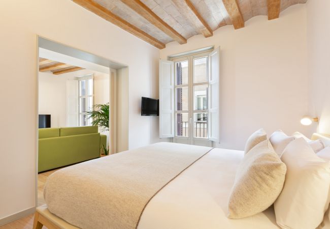 Appartamento a Barcelona - OLA LIVING BISBE SQUARE VIEW 2 Appartamento a Barcelona - OLA LIVING BISBE SQUARE VIEW 2