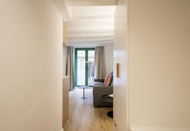 Appartamento a Barcelona - OLA LIVING VIDRERIA 0 Appartamento a Barcelona - OLA LIVING VIDRERIA 0