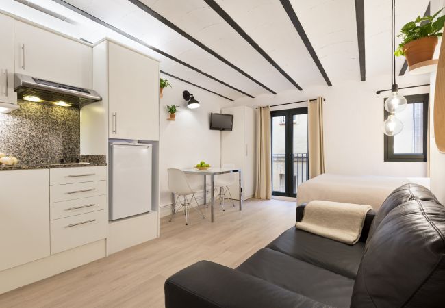 Studio a Barcelona - OLA LIVING BORN 3 Studio a Barcelona - OLA LIVING BORN 3
