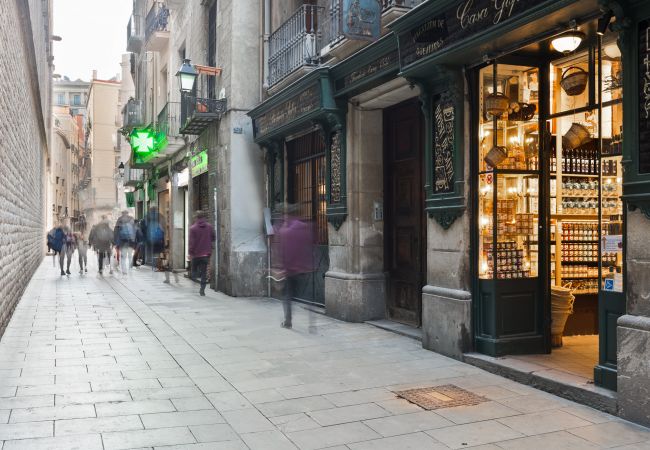 Studio a Barcelona - OLA LIVING BORN 1 Studio a Barcelona - OLA LIVING BORN 1