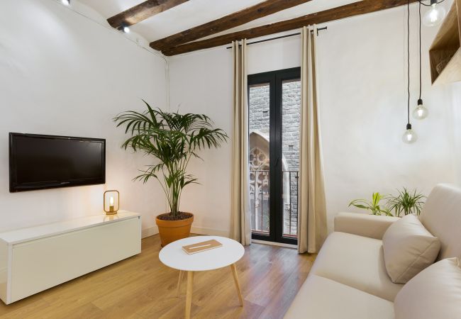 Studio a Barcelona - OLA LIVING BORN 1 Studio a Barcelona - OLA LIVING BORN 1