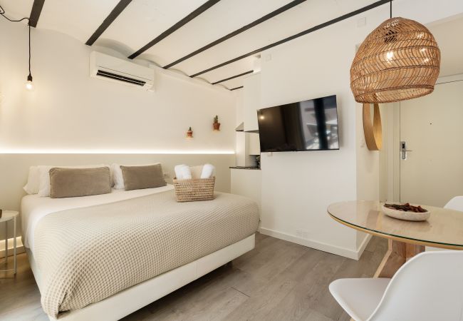 Studio a Barcelona - OLA LIVING BORN 10 ATTIC Studio a Barcelona - OLA LIVING BORN 10 ATTIC