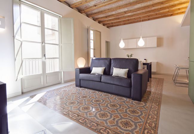 Apartamento em Barcelona - OLA LIVING PETRITXOL PALAU DE LA MÚSICA