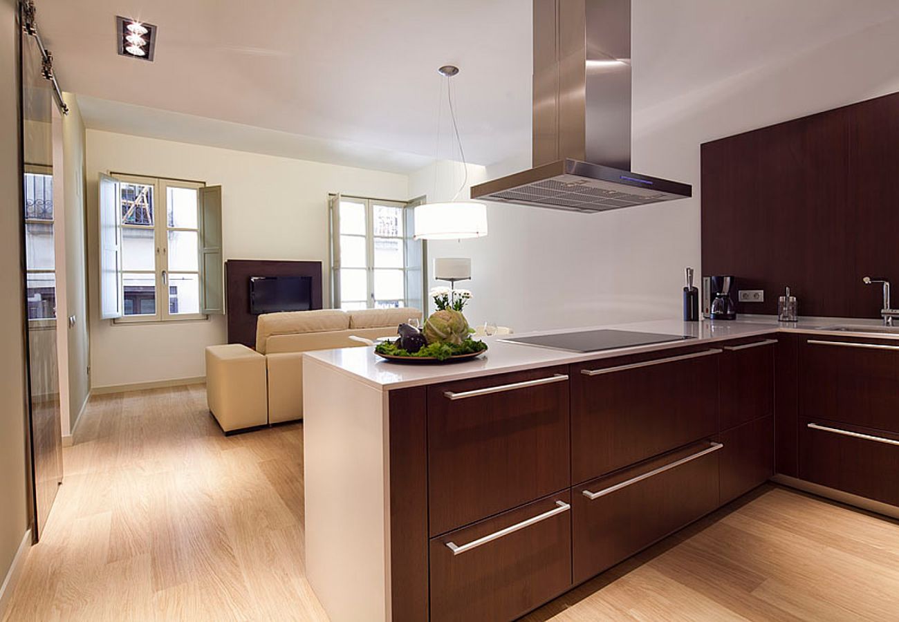 Apartamento em Barcelona - OLA LIVING PETRITXOL LES RAMBLES