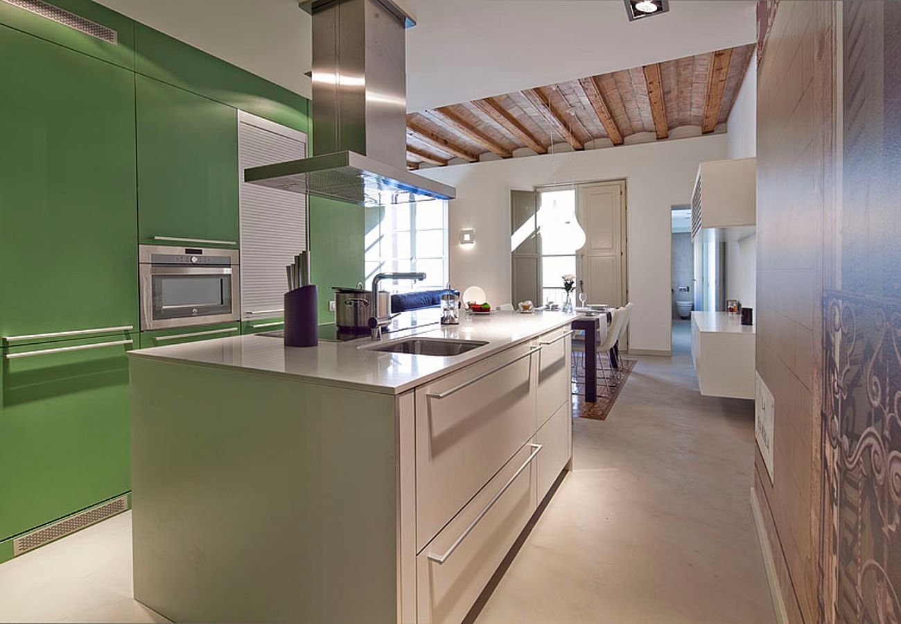 Apartamento em Barcelona - OLA LIVING PETRITXOL LES RAMBLES