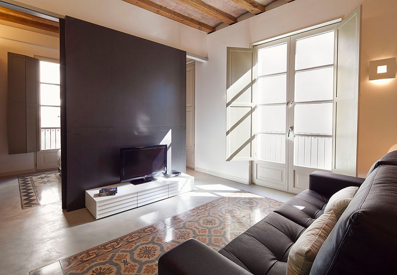 Apartamento em Barcelona - OLA LIVING PETRITXOL LES RAMBLES