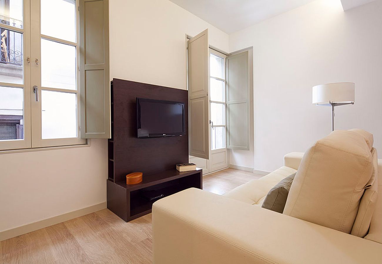 Apartamento em Barcelona - OLA LIVING PETRITXOL LES RAMBLES