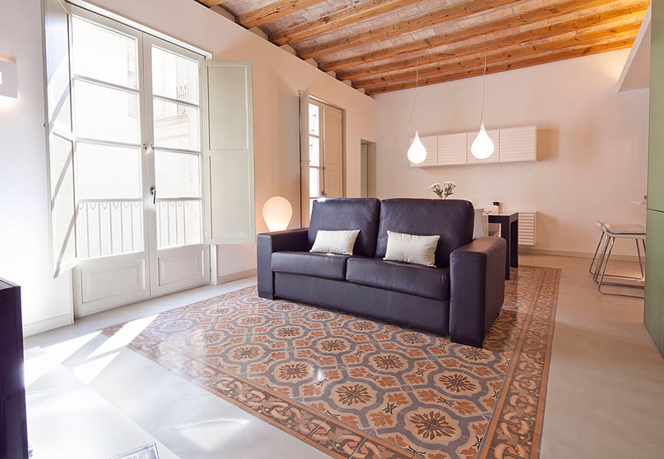 Apartamento em Barcelona - OLA LIVING PETRITXOL LES RAMBLES