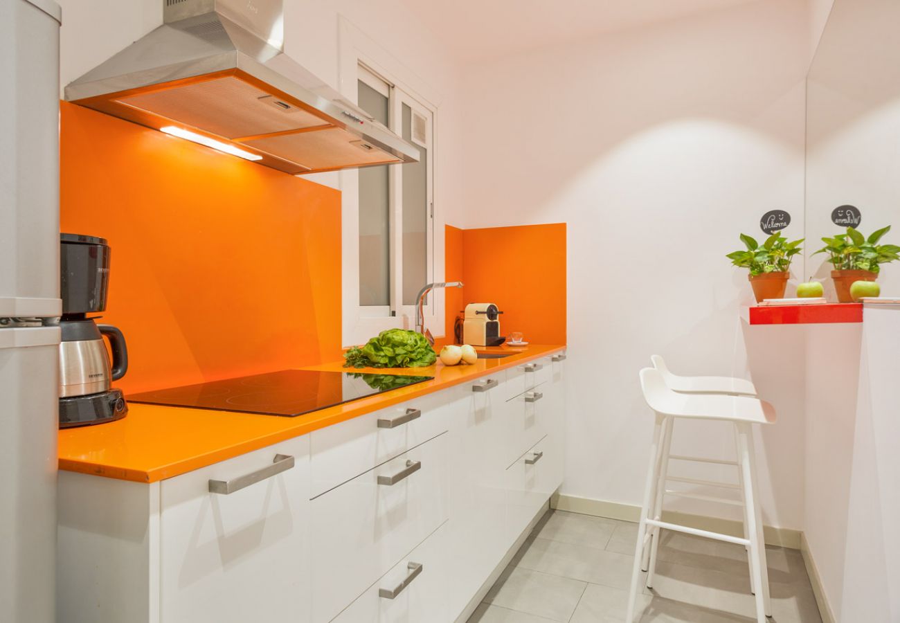 Apartamento em Barcelona - OLA LIVING SANTA ANNA 4