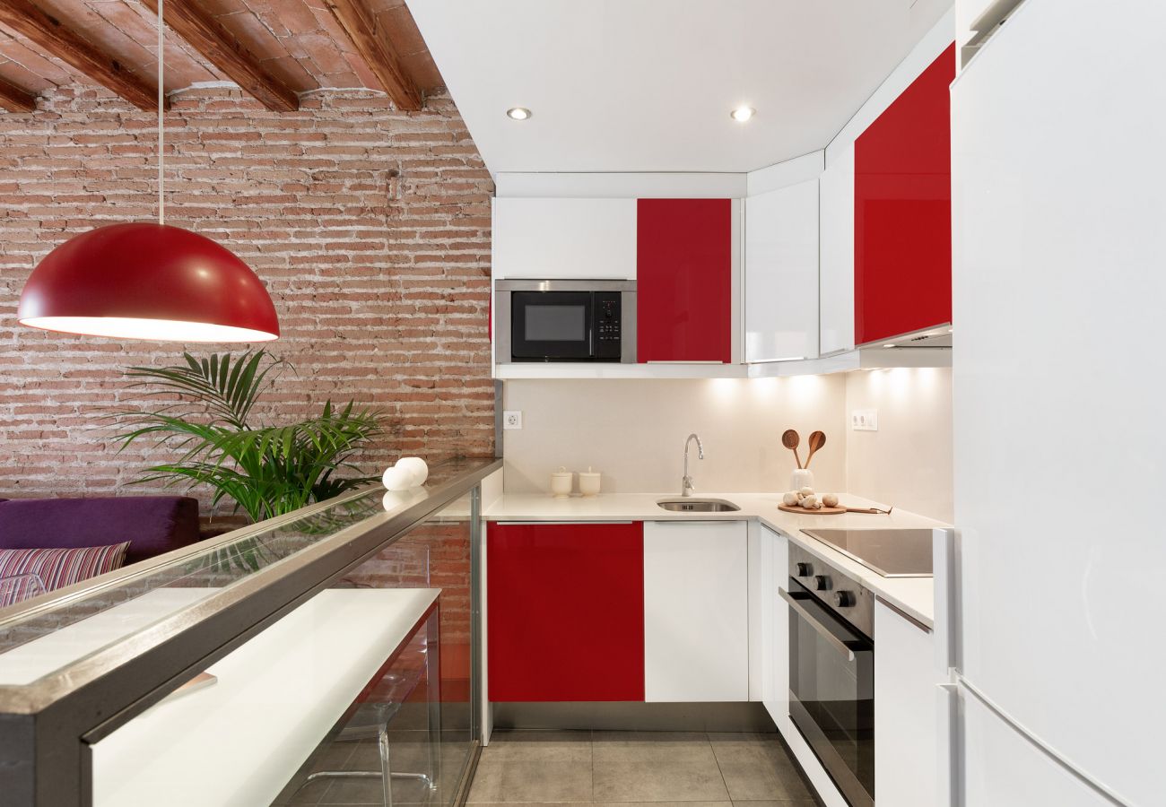 Apartamento em Barcelona - OLA LIVING MACBA 3