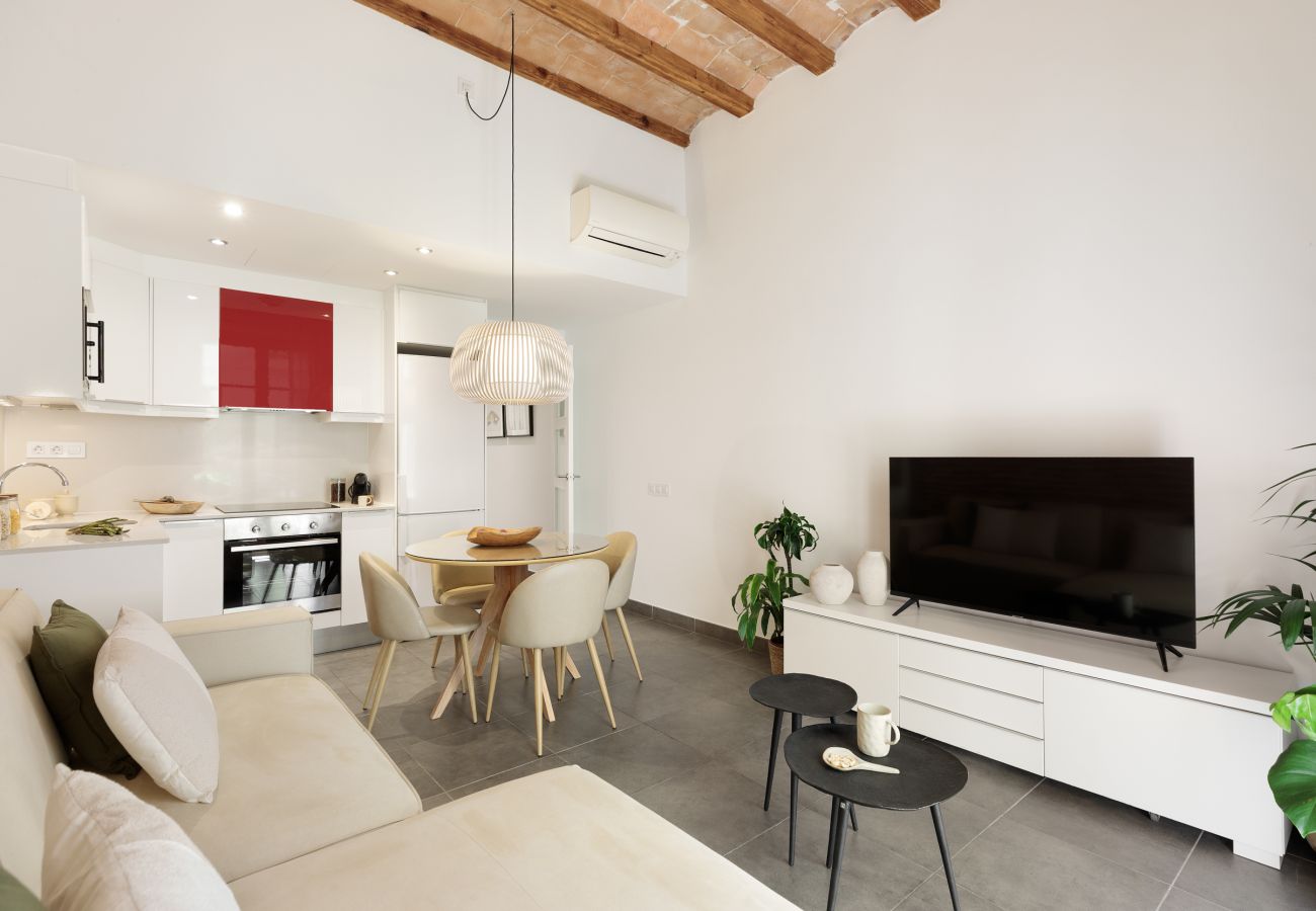 Apartamento em Barcelona - OLA LIVING MACBA 1