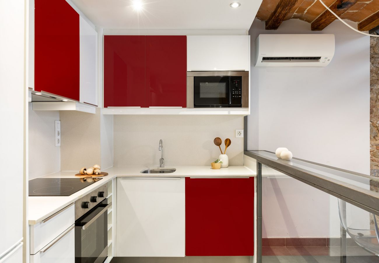 Apartamento em Barcelona - OLA LIVING MACBA 0