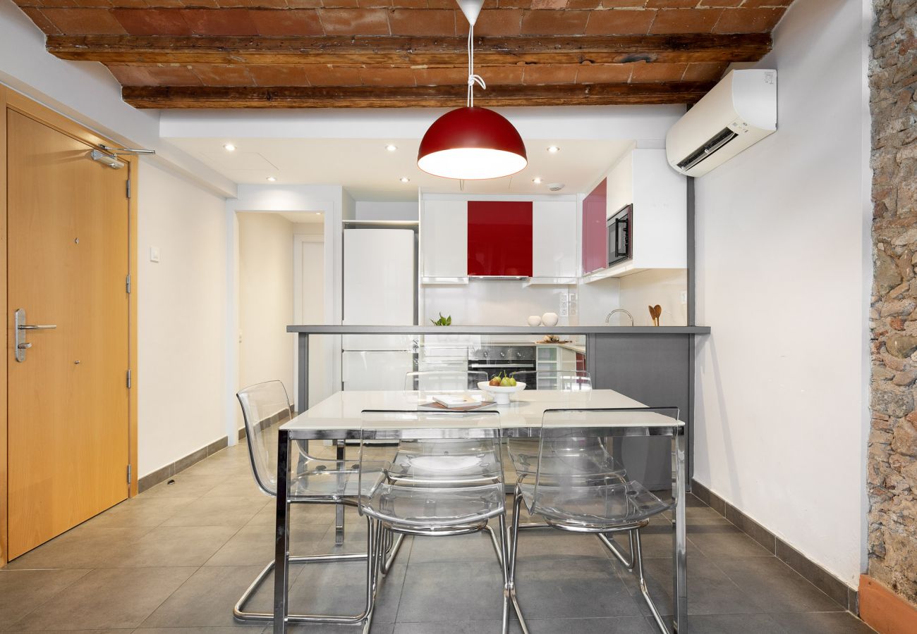 Apartamento em Barcelona - OLA LIVING MACBA 0