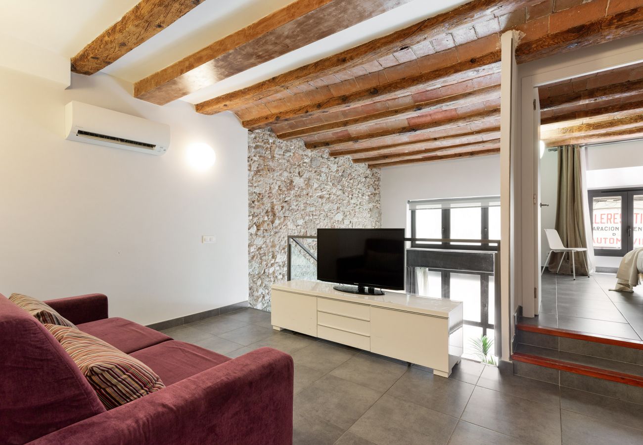 Apartamento em Barcelona - OLA LIVING MACBA 0