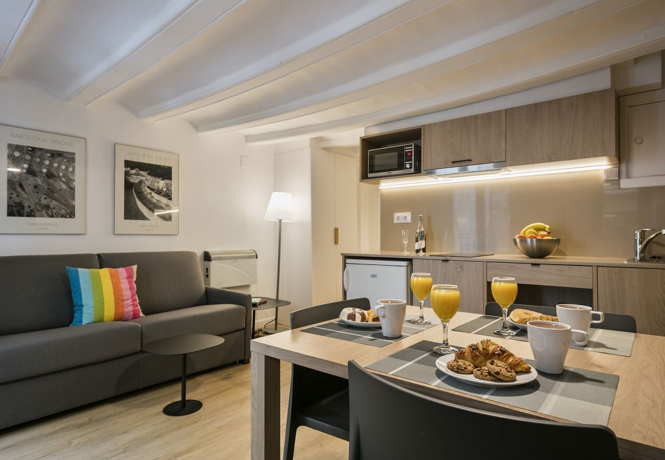 Apartamento em Barcelona - OLA LIVING VIDRERIA 4