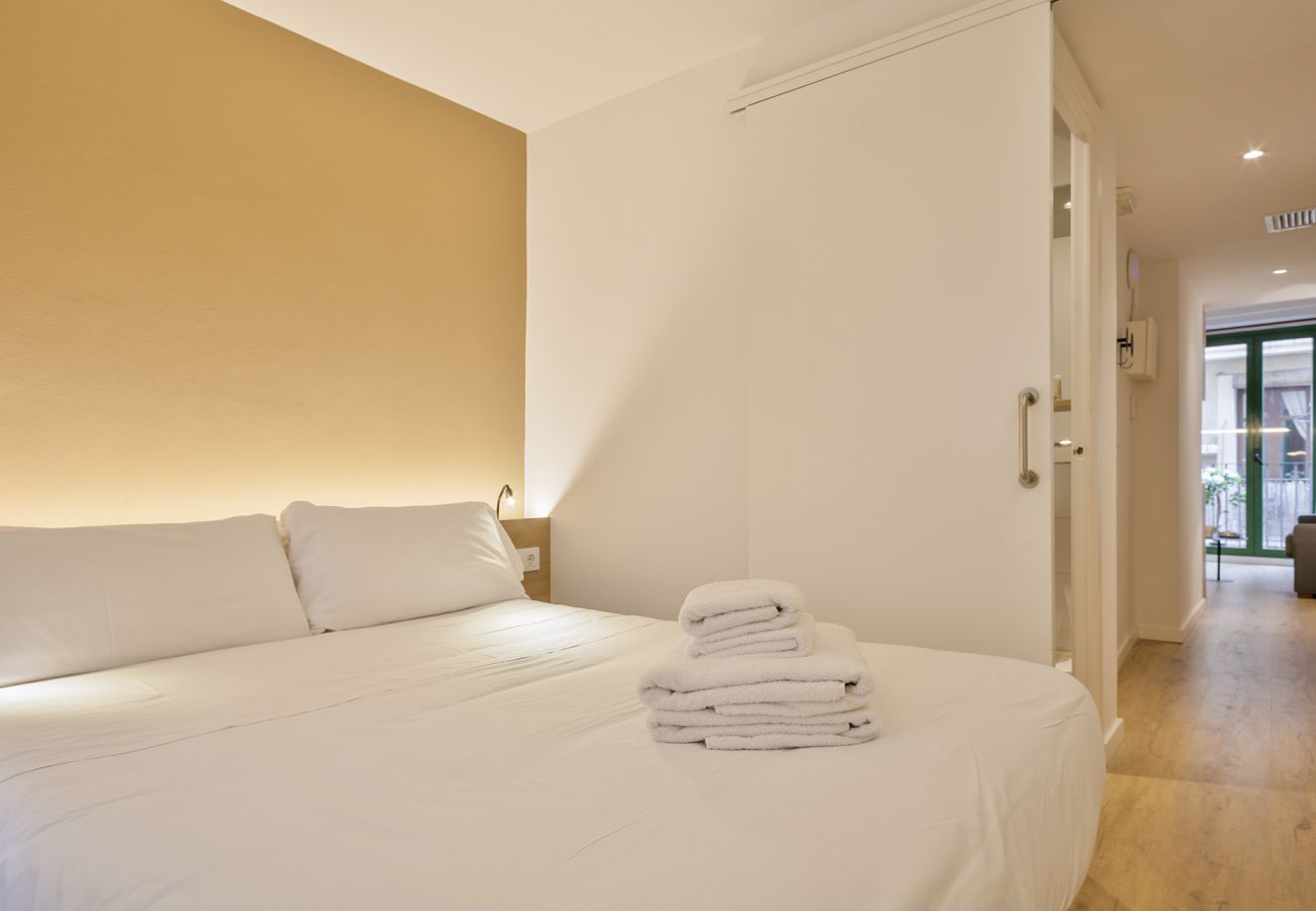 Apartamento em Barcelona - OLA LIVING VIDRERIA 1