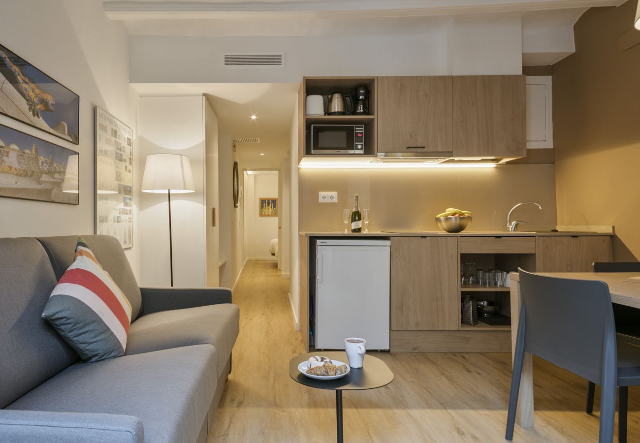 Apartamento em Barcelona - OLA LIVING VIDRERIA 2