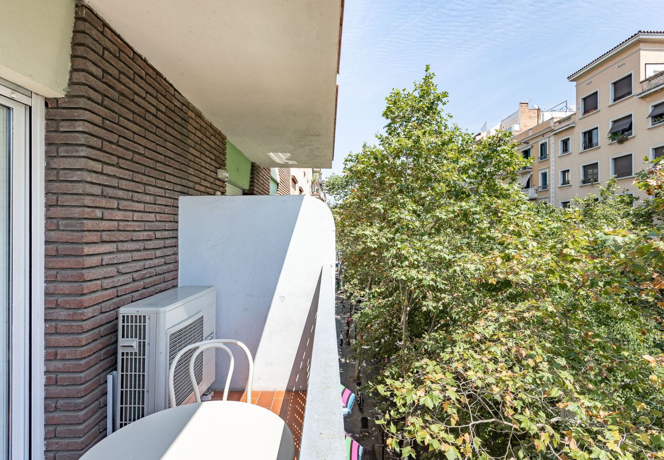 Apartamento em Barcelona - OLA LIVING SAGRADA FAMILIA 3