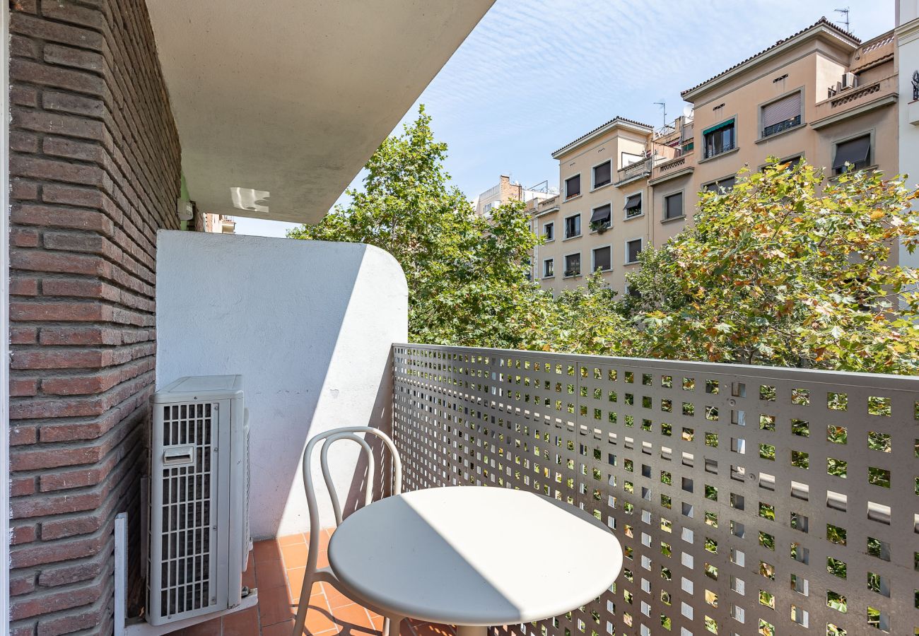 Apartamento em Barcelona - OLA LIVING SAGRADA FAMILIA 3