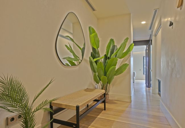 Apartamento em Barcelona - OLA LIVING PASEO DE GRACIA 1 Apartamento em Barcelona - OLA LIVING PASEO DE GRACIA 1