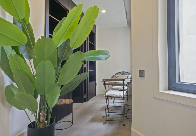 Apartamento em Barcelona - OLA LIVING PASEO DE GRACIA 1 Apartamento em Barcelona - OLA LIVING PASEO DE GRACIA 1