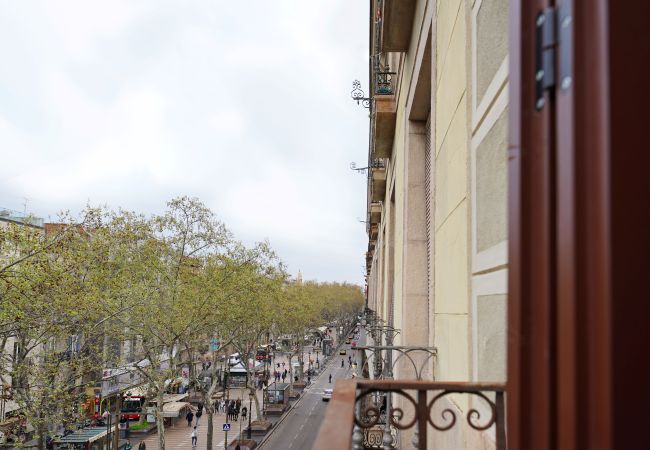 Apartamento em Barcelona - OLA LIVING BOQUERIA 5 Apartamento em Barcelona - OLA LIVING BOQUERIA 5