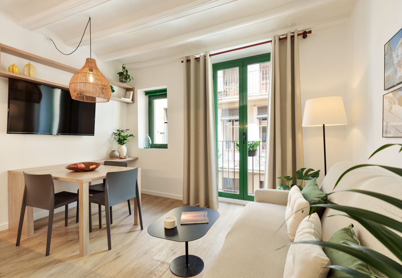Apartamento em Barcelona - OLA LIVING VIDRERIA 4