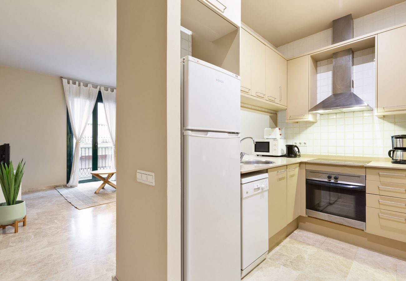 Alquiler por habitaciones en Barcelona - Merce Habitación Individual Alquiler por habitaciones en Barcelona - Merce Habitación Individual