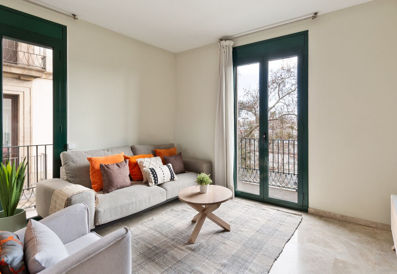 Alquiler por habitaciones en Barcelona - Merce Habitación Doble Estándar Alquiler por habitaciones en Barcelona - Merce Habitación Doble Estándar
