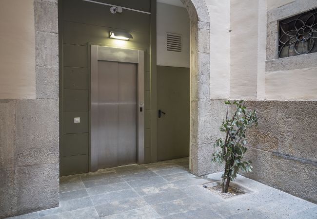 Alquiler por habitaciones en Barcelona - Merce Habitación Doble Standard Superior Alquiler por habitaciones en Barcelona - Merce Habitación Doble Standard Superior